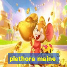 plethora maine